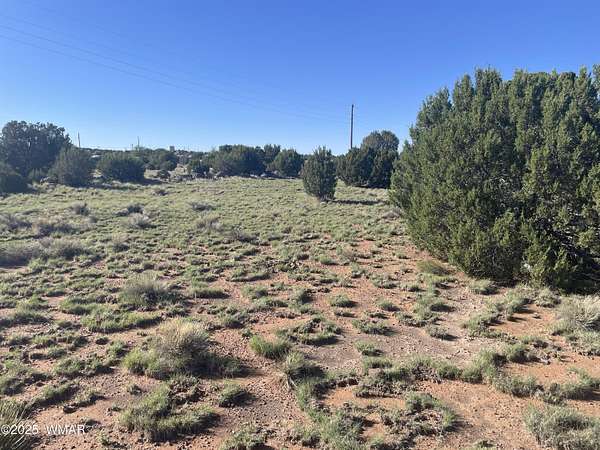 0.34 Acres of Residential Land for Sale in Concho, Arizona