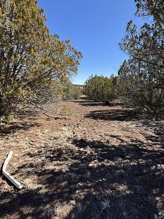 1.17 Acres of Residential Land for Sale in Concho, Arizona