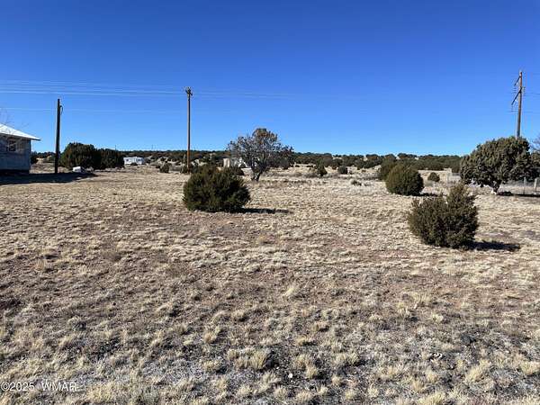0.34 Acres of Residential Land for Sale in Concho, Arizona