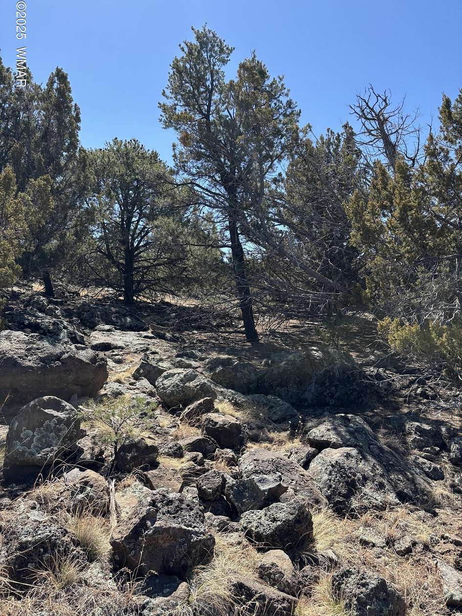 1.2 Acres of Residential Land for Sale in Concho, Arizona