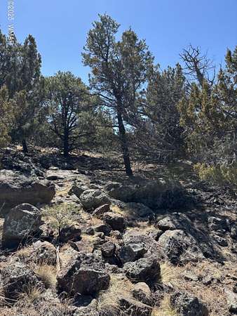 1.2 Acres of Residential Land for Sale in Concho, Arizona