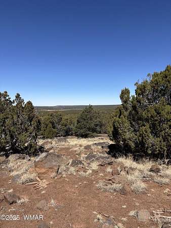 1.16 Acres of Residential Land for Sale in Concho, Arizona