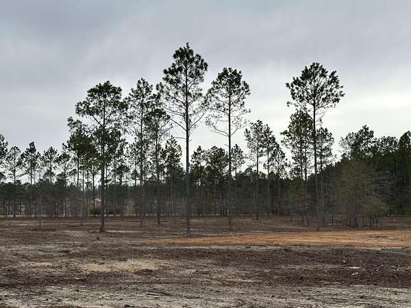 9 Acres of Land for Sale in Aiken, South Carolina