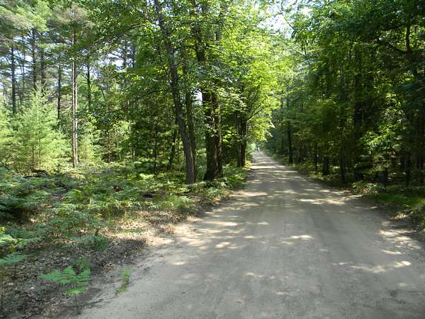 10 Acres of Land for Sale in Pentwater, Michigan