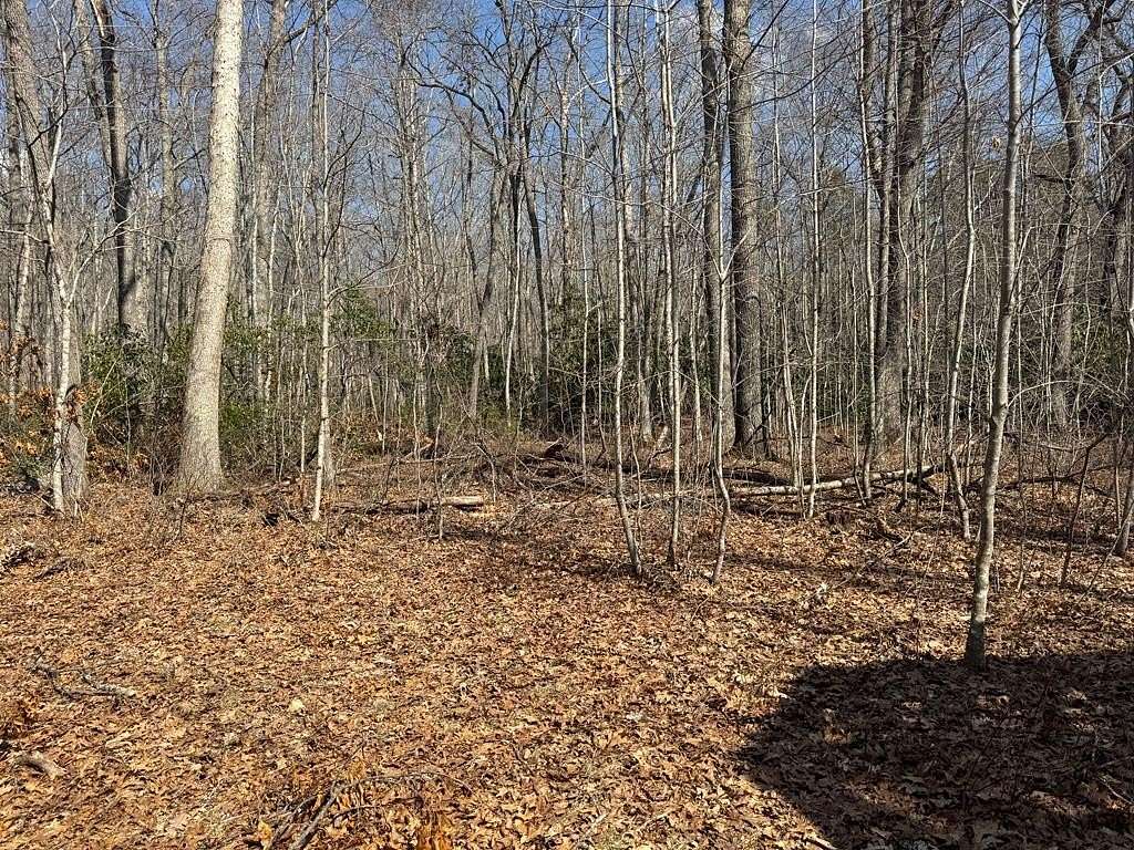 38.2 Acres of Land for Sale in Bastian, Virginia