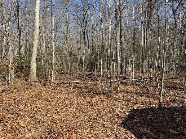 38.2 Acres of Land for Sale in Bastian, Virginia