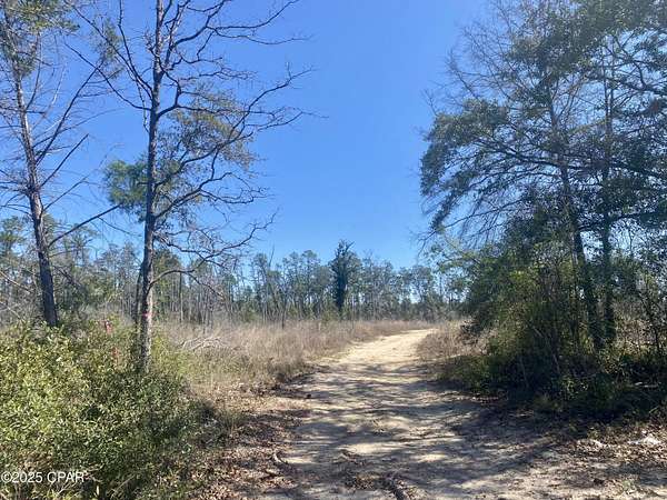 50 Acres of Recreational Land for Sale in Bristol, Florida