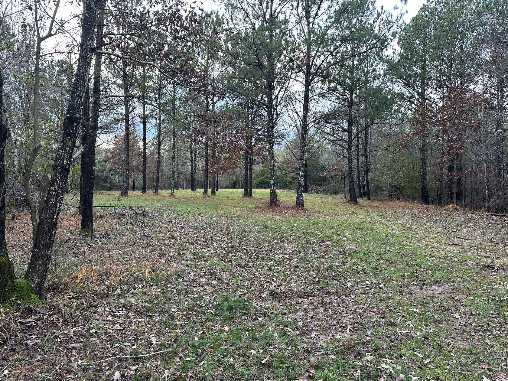 284 Acres of Recreational Land for Sale in Vina, Alabama