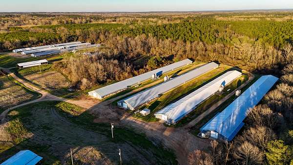 33 Acres of Agricultural Land for Sale in Wesson, Mississippi