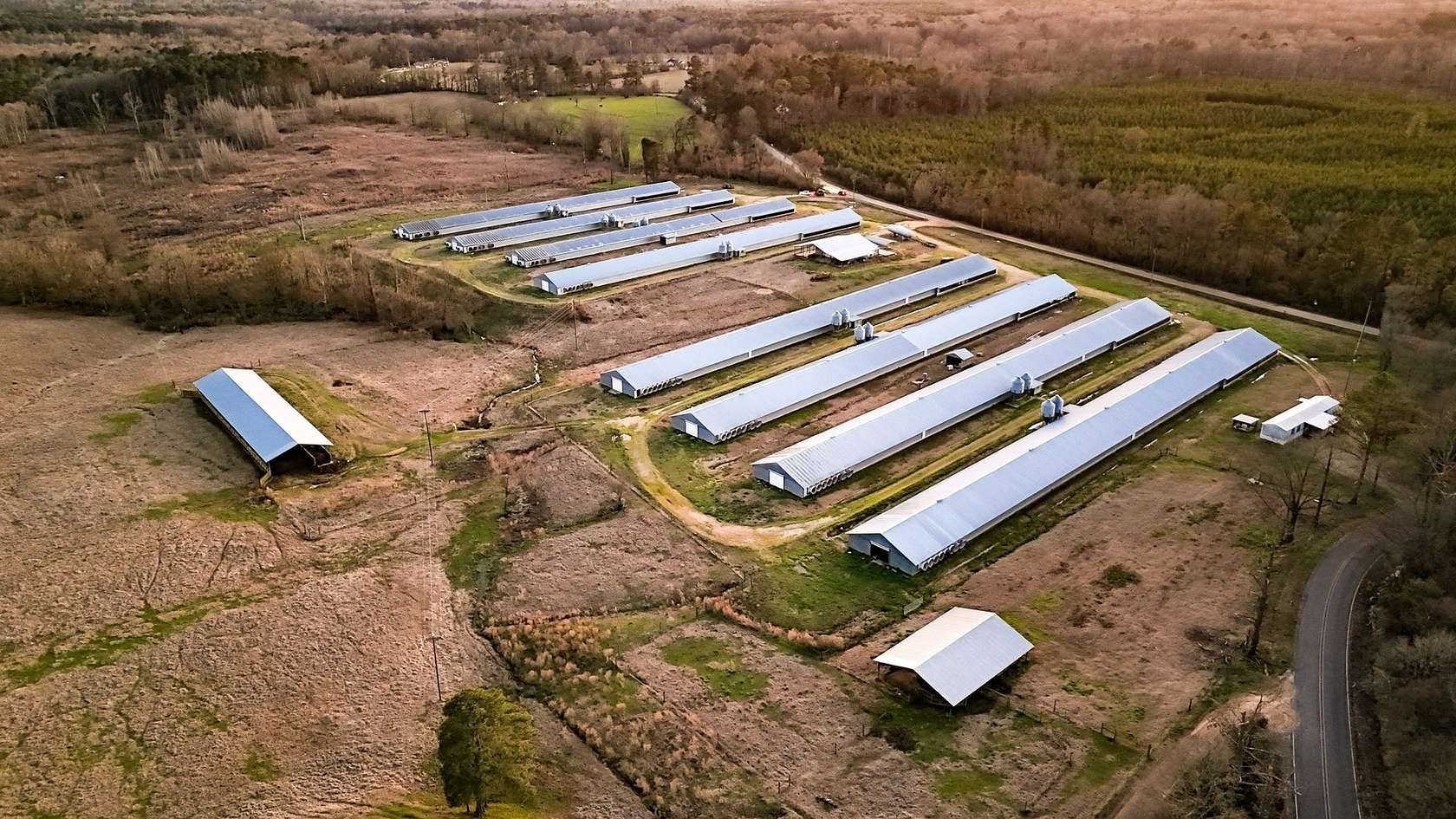 79 Acres of Agricultural Land for Sale in Pinola, Mississippi