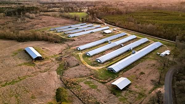 79 Acres of Agricultural Land for Sale in Pinola, Mississippi