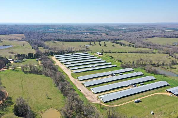 47.5 Acres of Agricultural Land with Home for Sale in Lowndesboro, Alabama