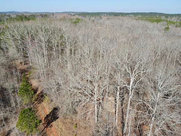 120 Acres of Land for Sale in Wadley, Alabama