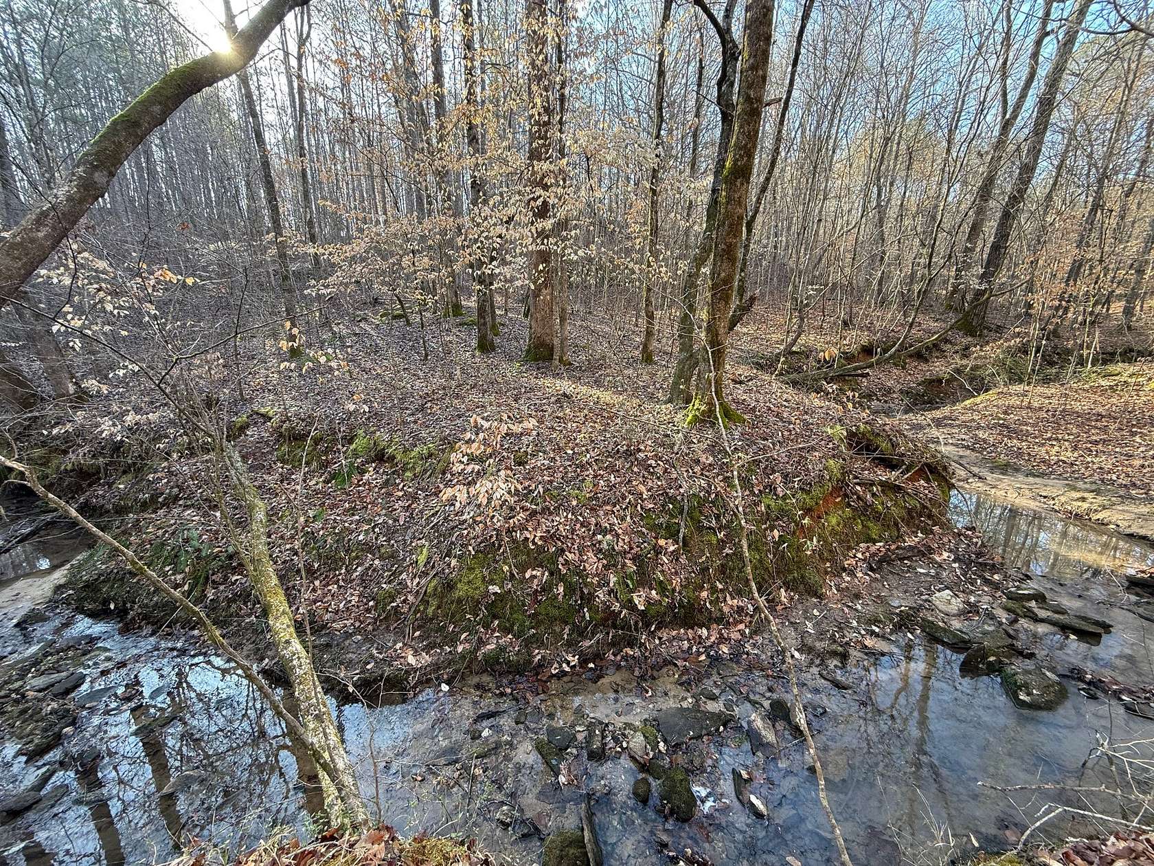 180 Acres of Recreational Land for Sale in Pinkneyville, Alabama