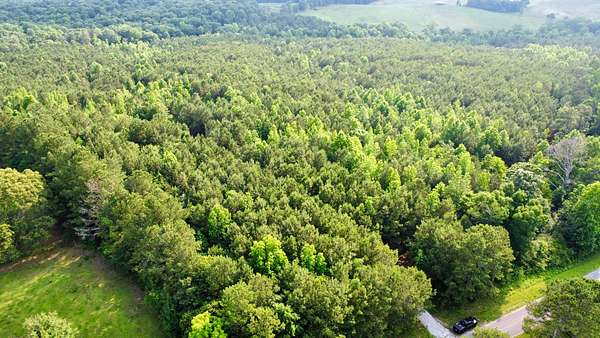 39.5 Acres of Recreational Land for Sale in Newell, Alabama