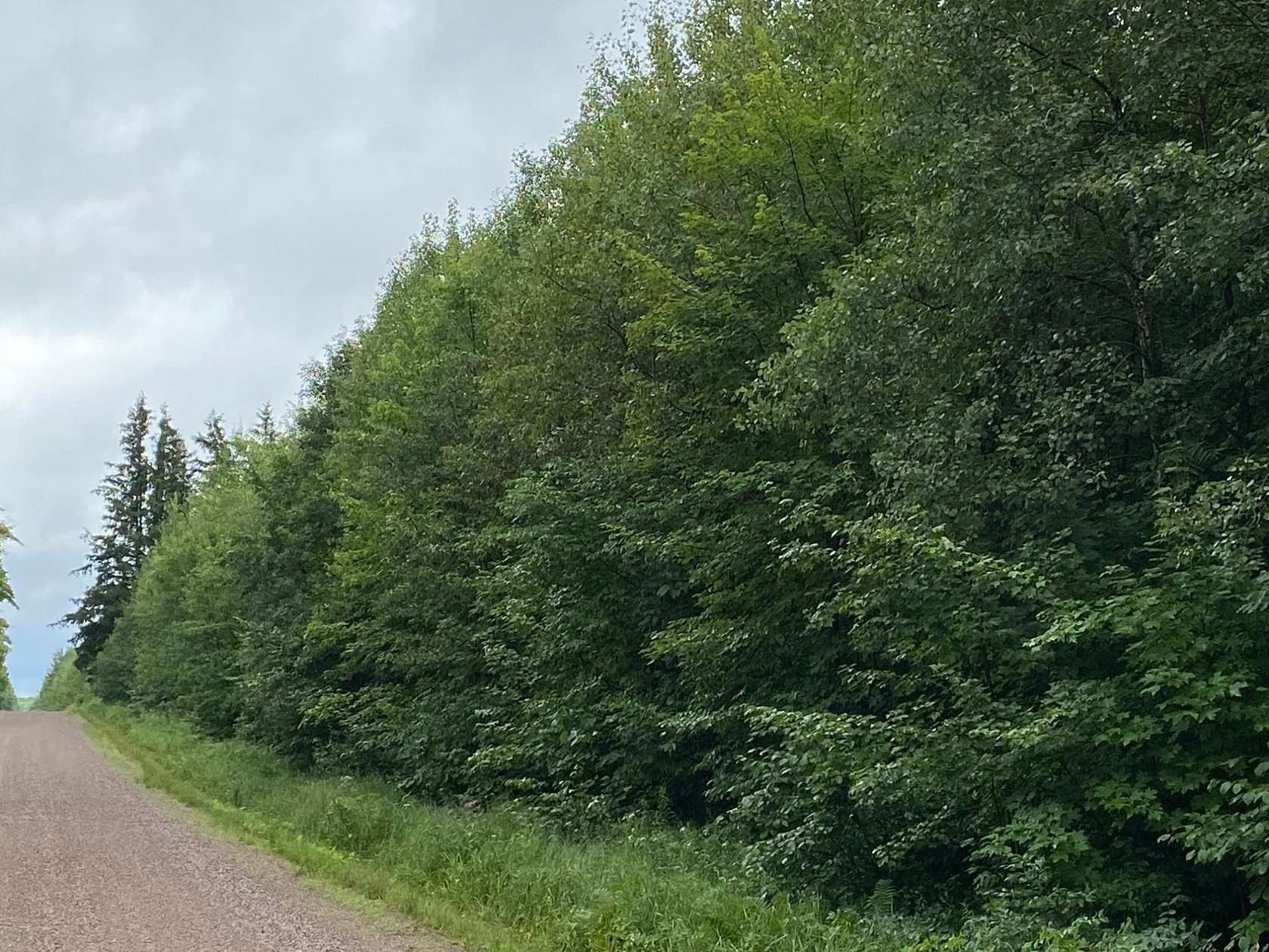 80 Acres of Land for Sale in Merrill, Wisconsin