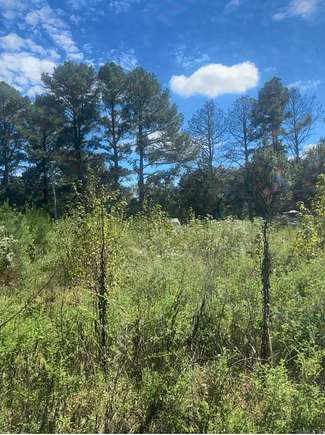 1.48 Acres of Land for Sale in Lonoke, Arkansas