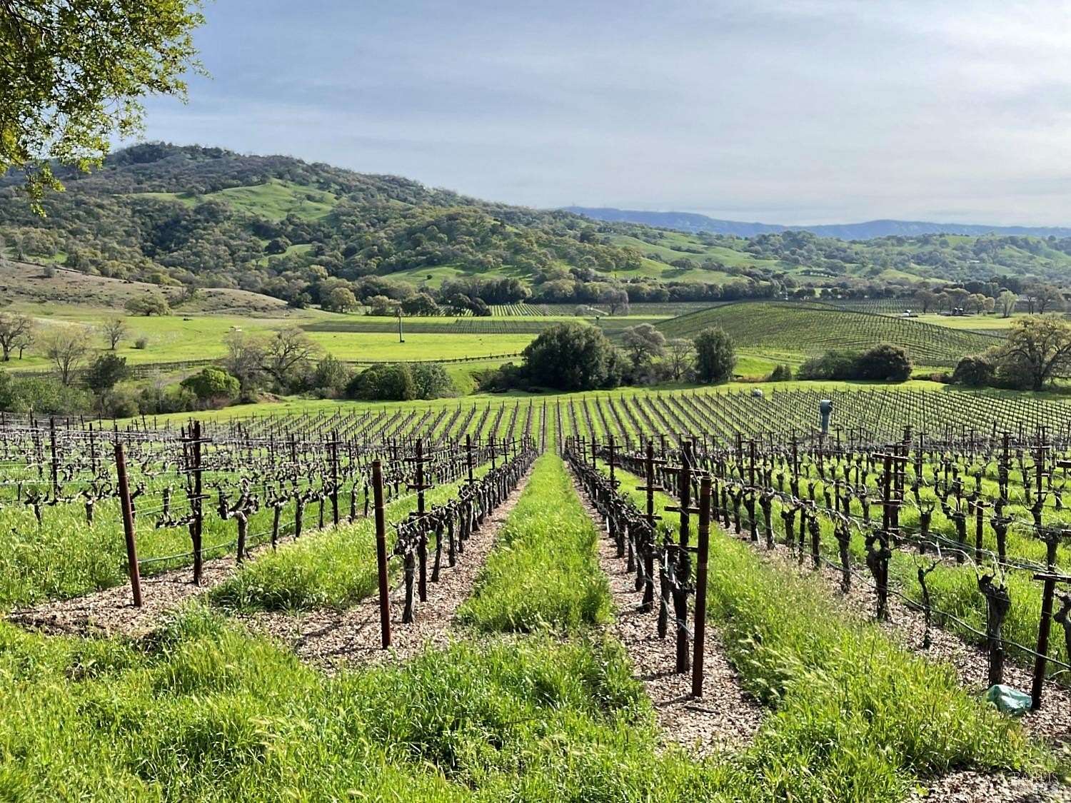 252 Acres of Agricultural Land with Home for Sale in Napa, California