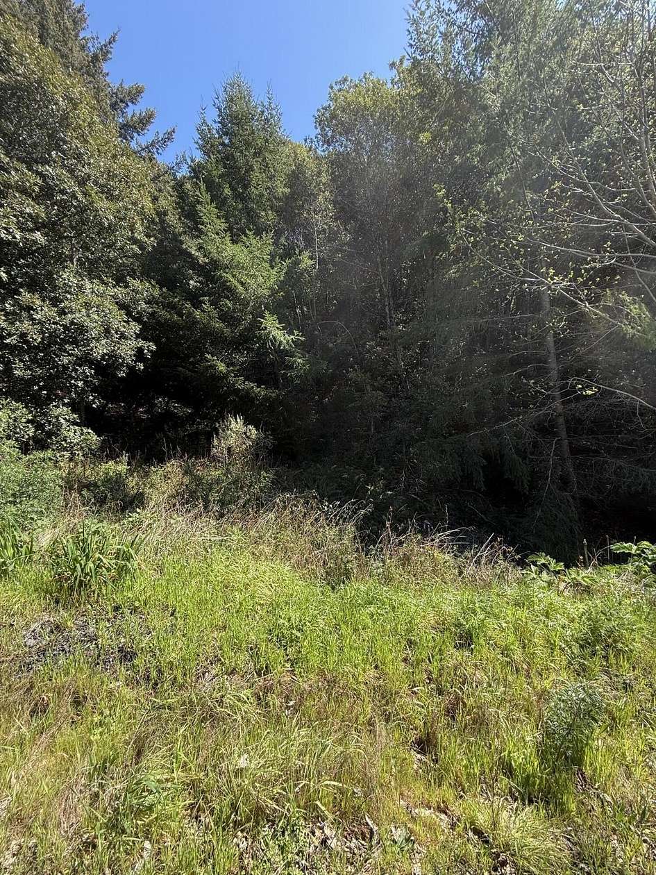 0.28 Acres of Residential Land for Sale in Whitethorn, California
