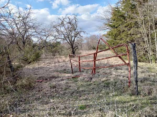 5.49 Acres of Residential Land for Sale in Detroit, Texas