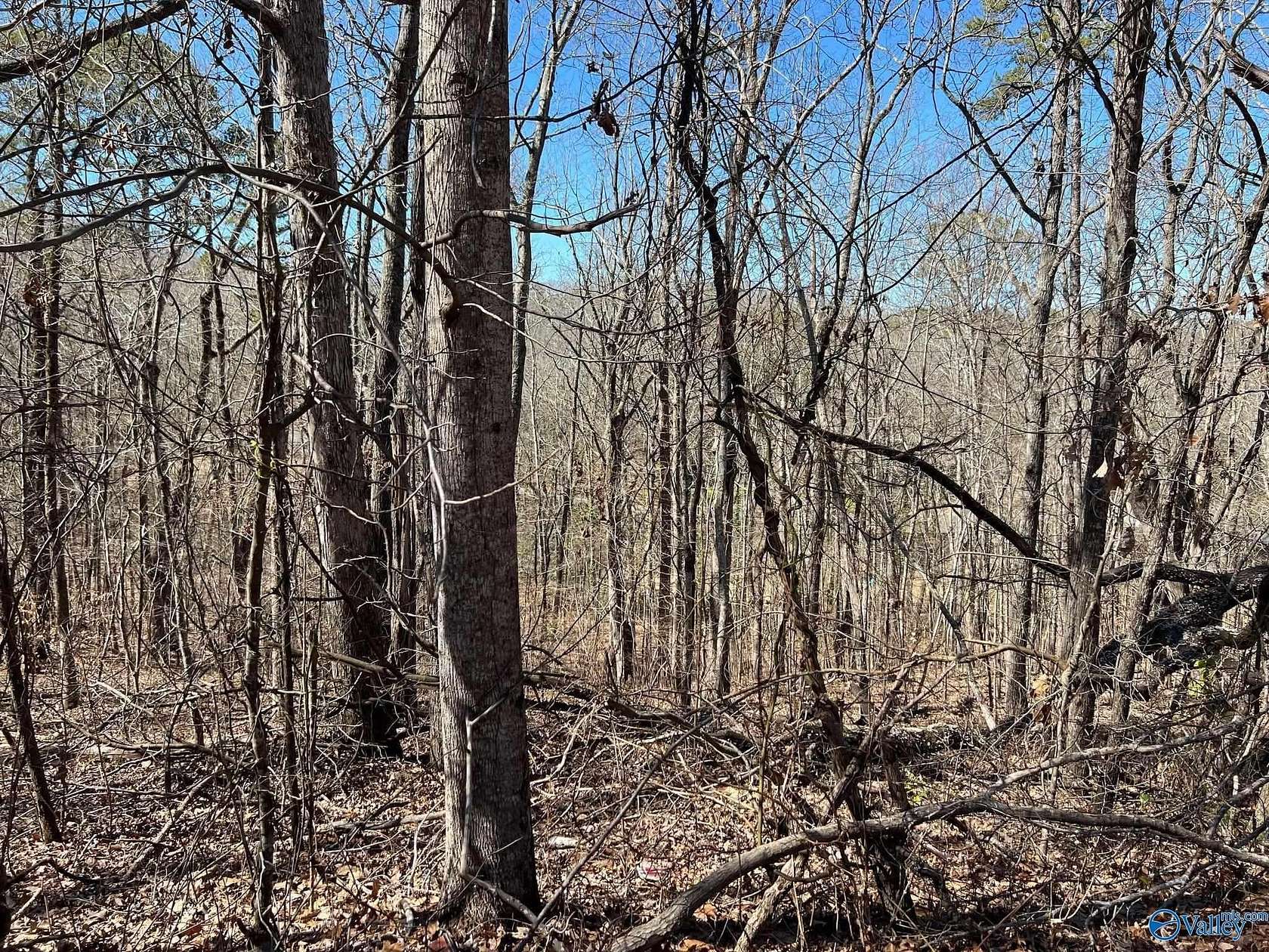 0.7 Acres of Land for Sale in Gadsden, Alabama