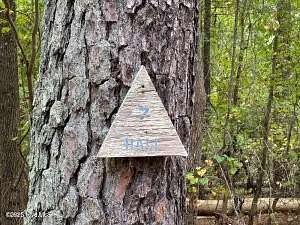 5.3 Acres of Land for Sale in Carthage, North Carolina