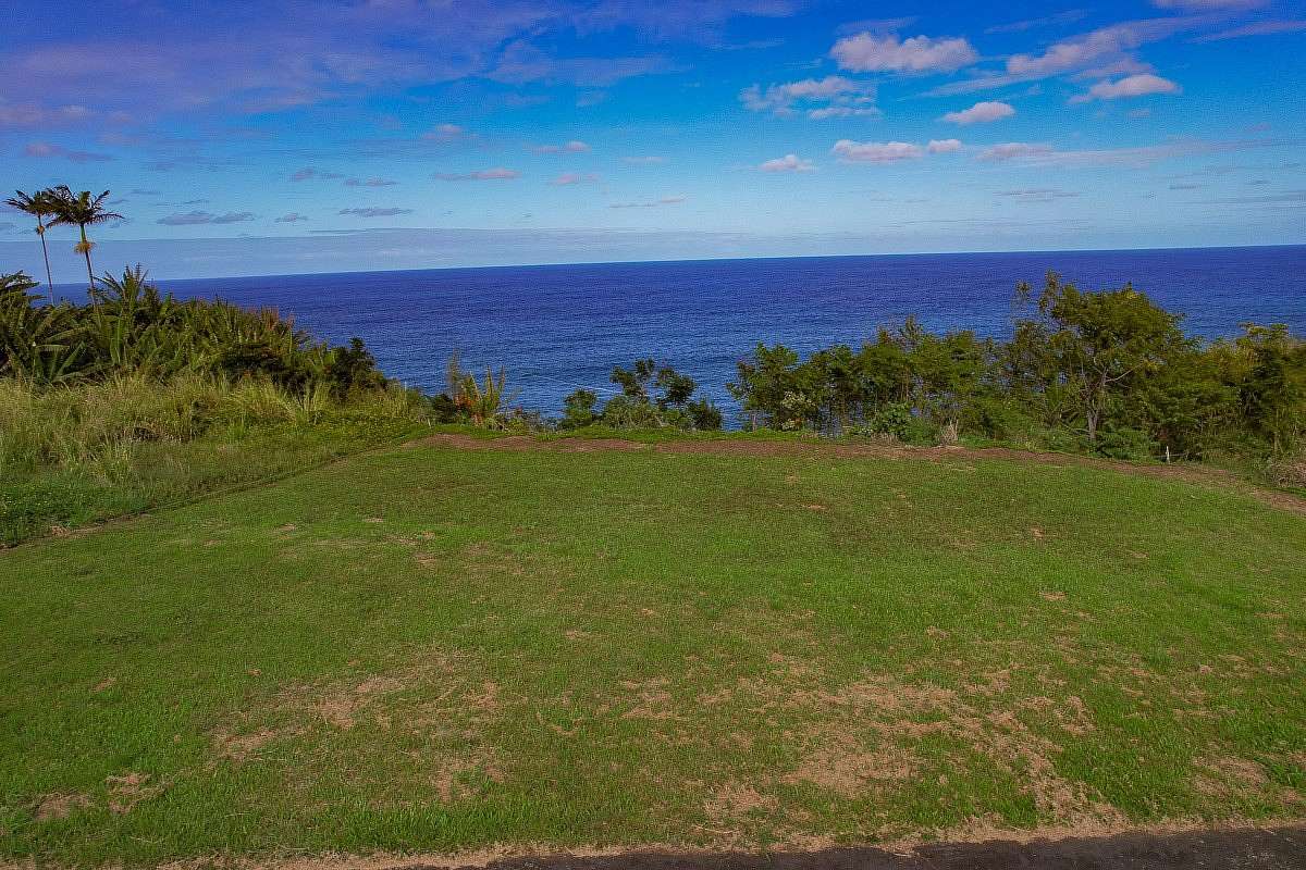0.56 Acres of Residential Land for Sale in Nīnole, Hawaii