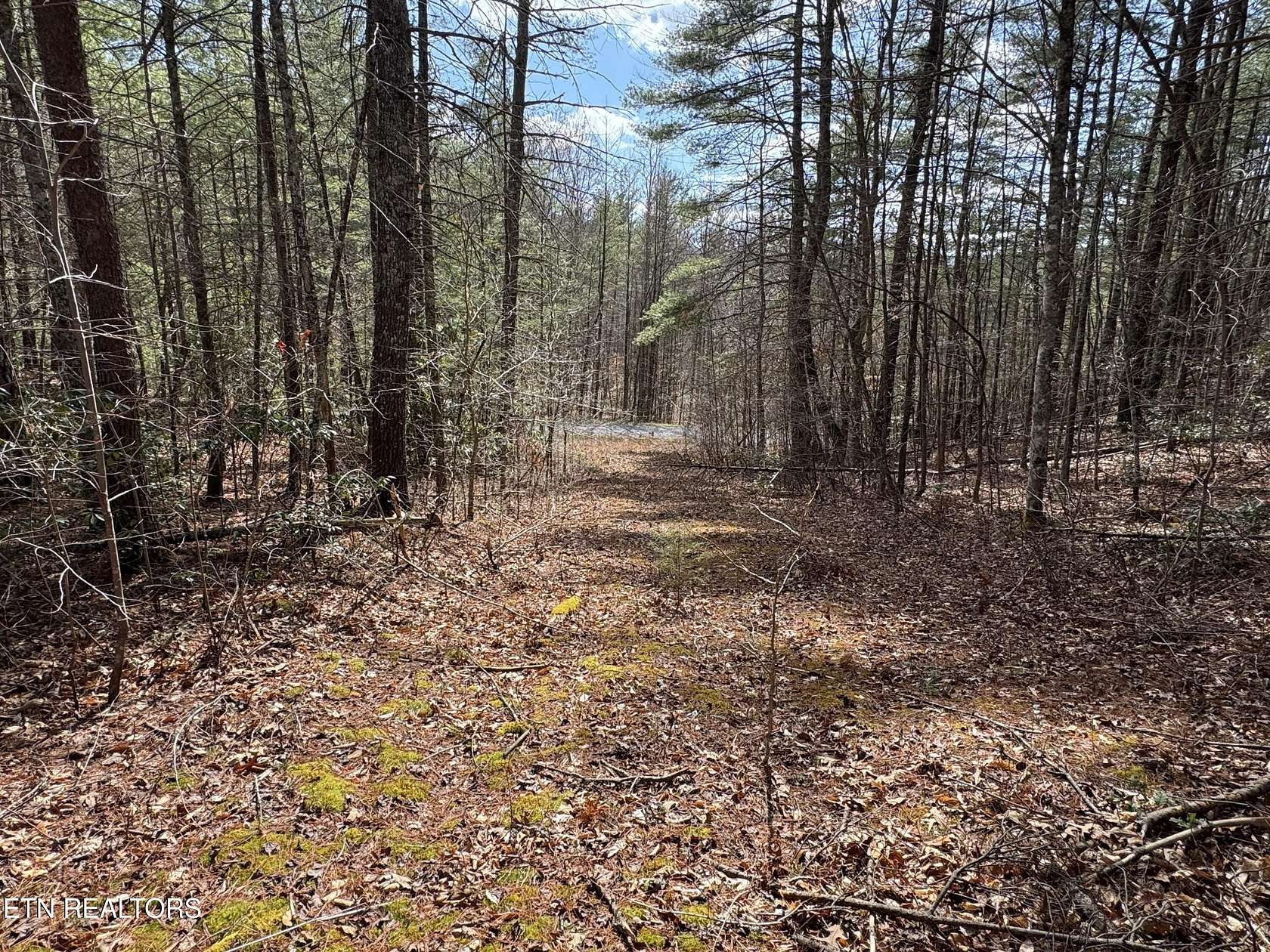 9.3 Acres of Residential Land for Sale in Del Rio, Tennessee