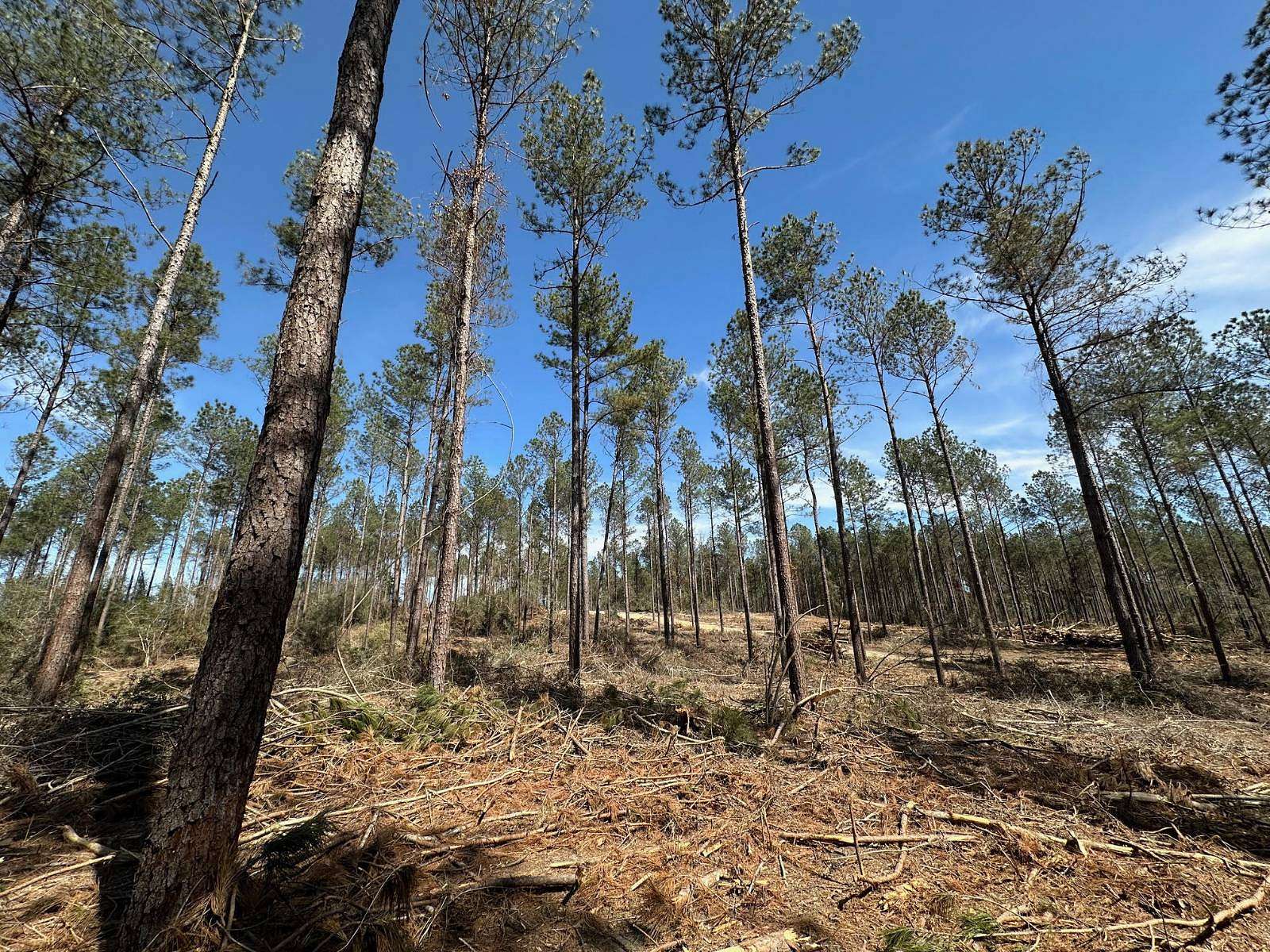 23 Acres of Recreational Land for Sale in New Hebron, Mississippi