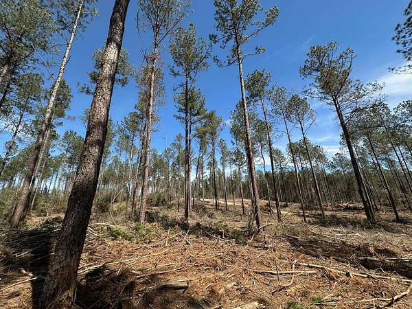 23 Acres of Recreational Land for Sale in New Hebron, Mississippi