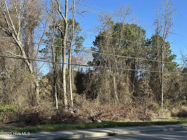 0.44 Acres of Residential Land for Sale in Goldsboro, North Carolina