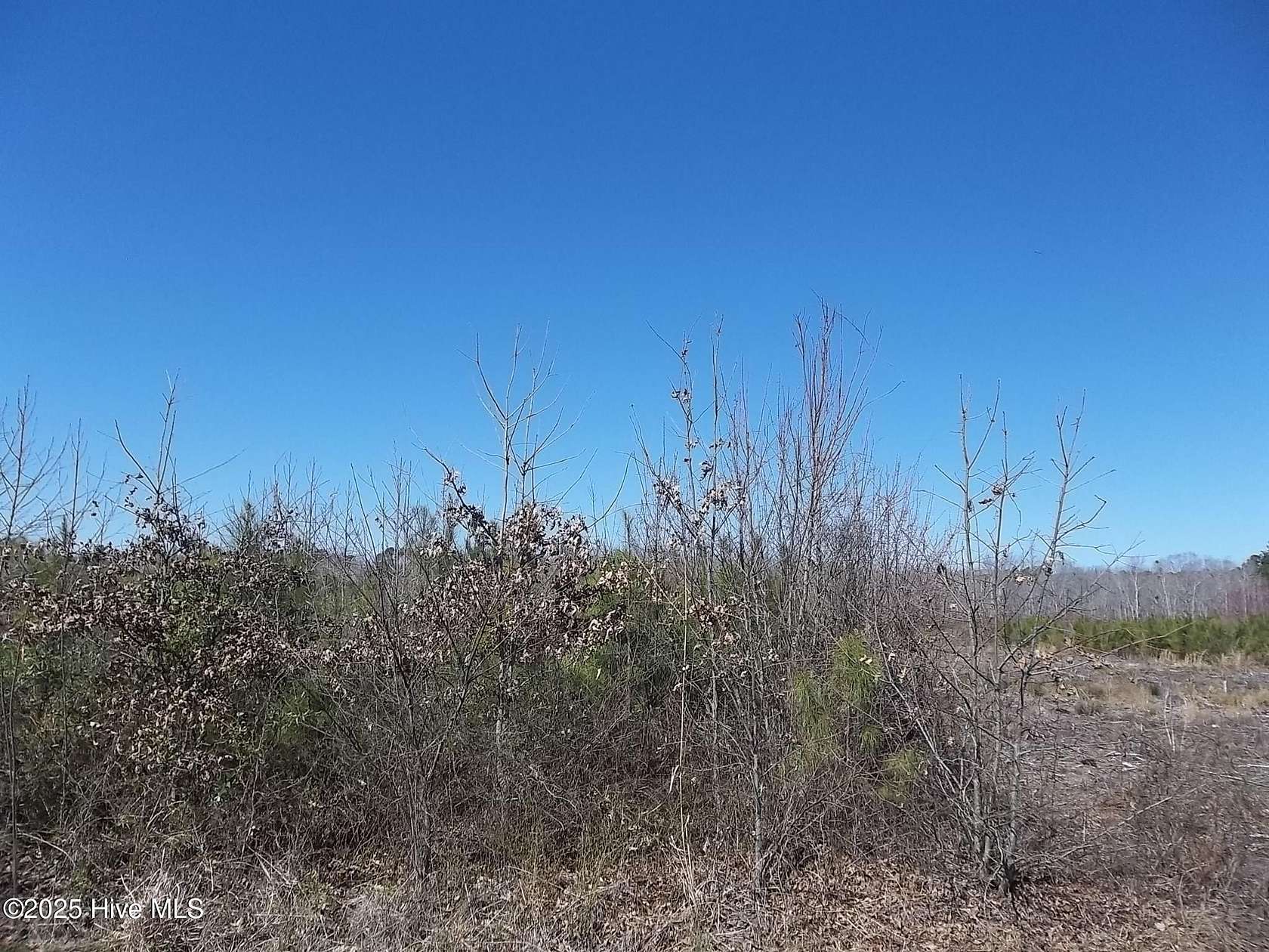 1 Acre of Residential Land for Sale in New Hope, North Carolina