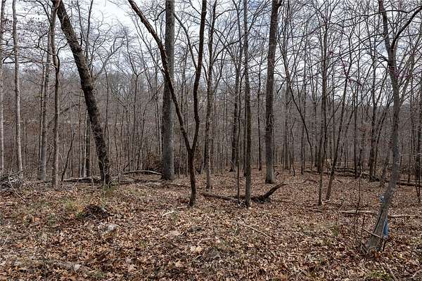 0.55 Acres of Residential Land for Sale in Bella Vista, Arkansas