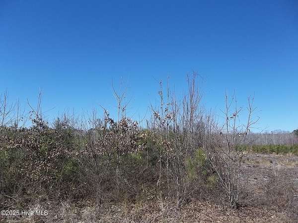 1 Acre of Residential Land for Sale in New Hope, North Carolina