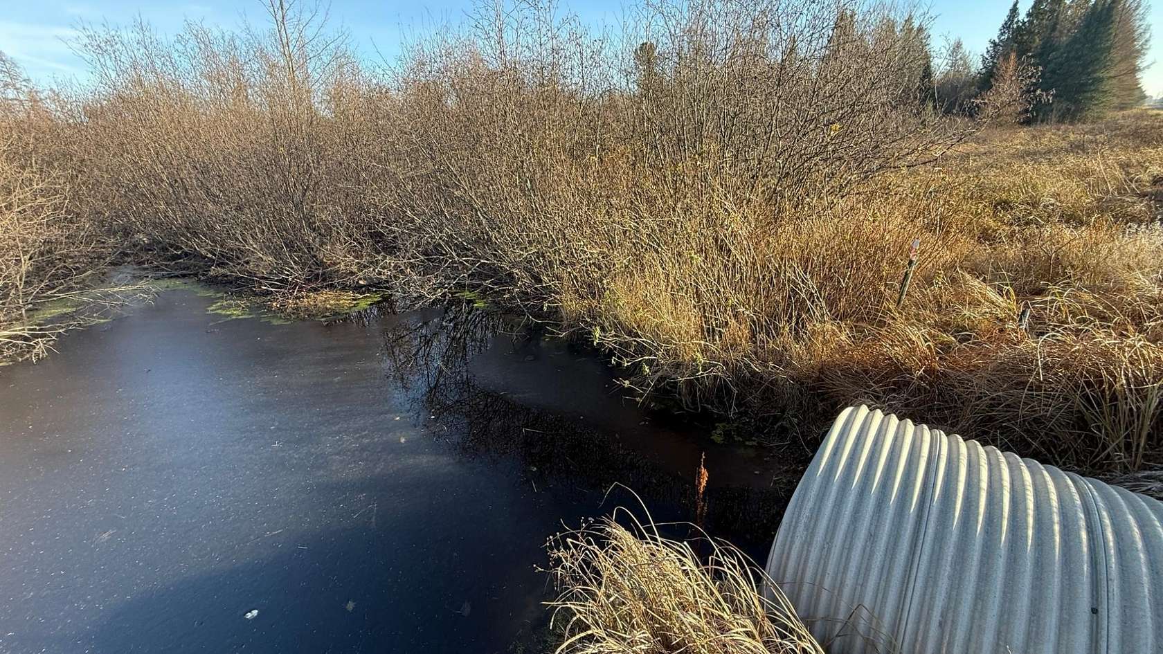 100 Acres of Recreational Land for Sale in Tomahawk, Wisconsin