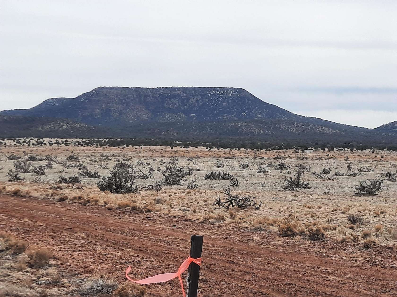 38.3 Acres of Land for Sale in Seligman, Arizona