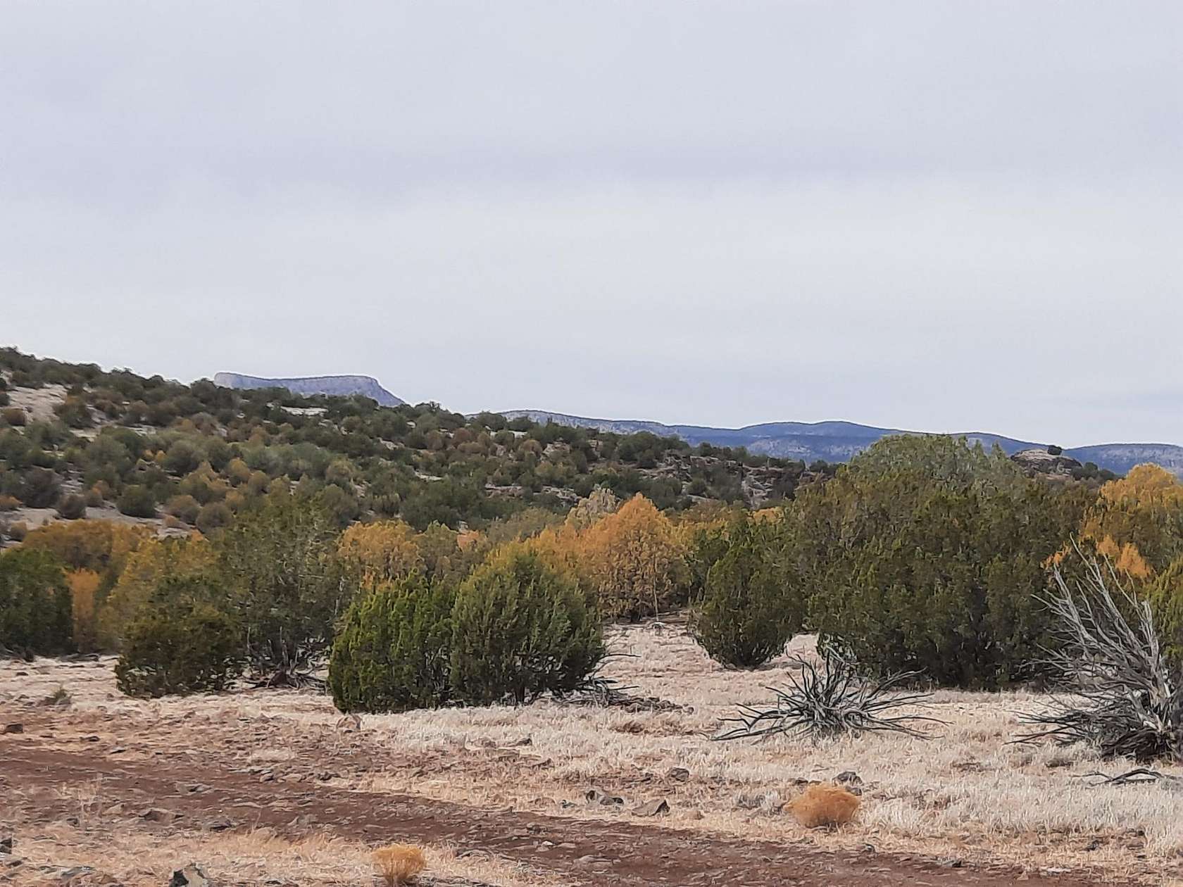 36.5 Acres of Recreational Land & Farm for Sale in Seligman, Arizona