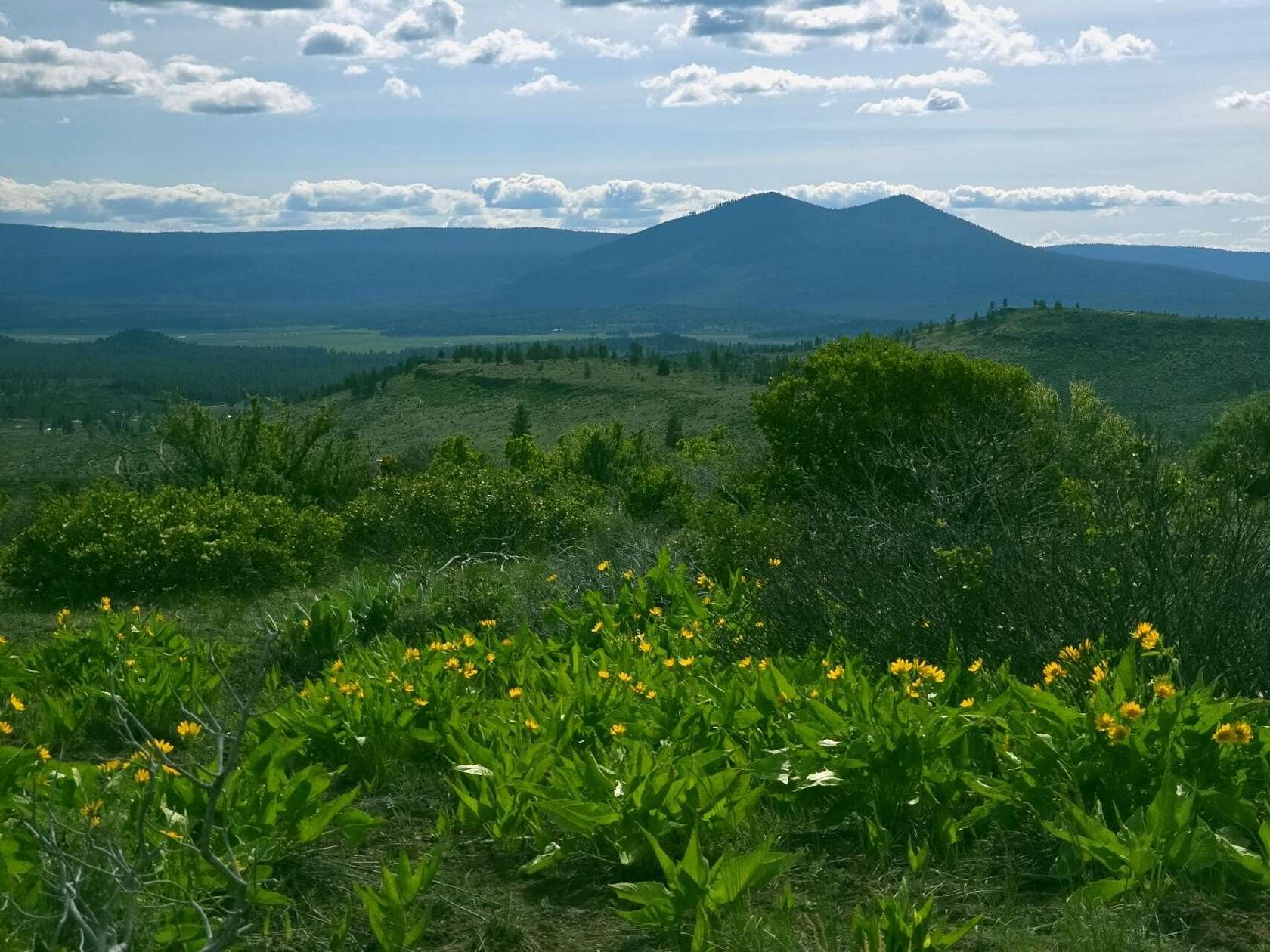 40 Acres of Recreational Land for Sale in Chiloquin, Oregon