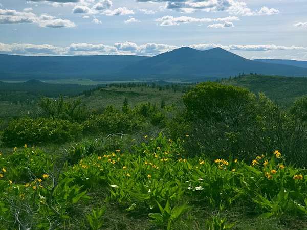 40 Acres of Recreational Land for Sale in Chiloquin, Oregon