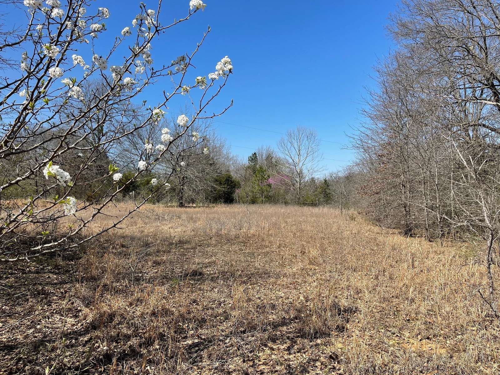 1.74 Acres of Residential Land for Sale in Atoka, Oklahoma