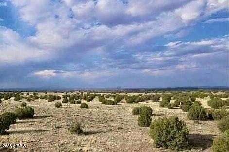 1.25 Acres of Land for Sale in Concho, Arizona