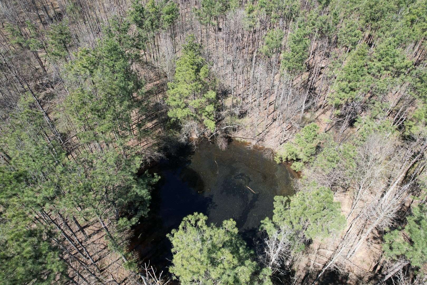 245 Acres of Land for Sale in Marshall, Texas