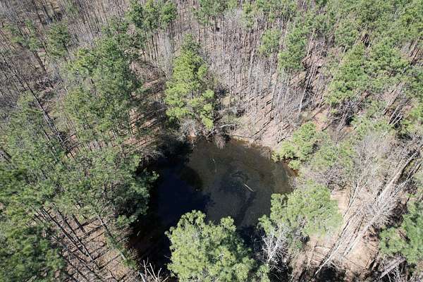 245 Acres of Land for Sale in Marshall, Texas