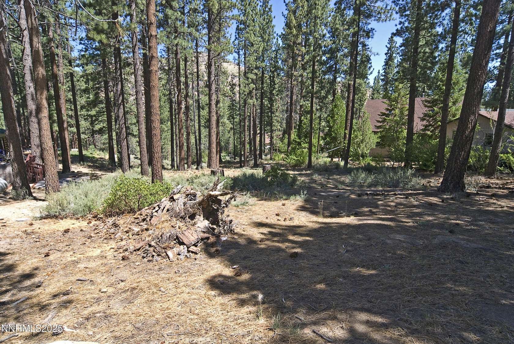 0.56 Acres of Residential Land for Sale in Markleeville, California