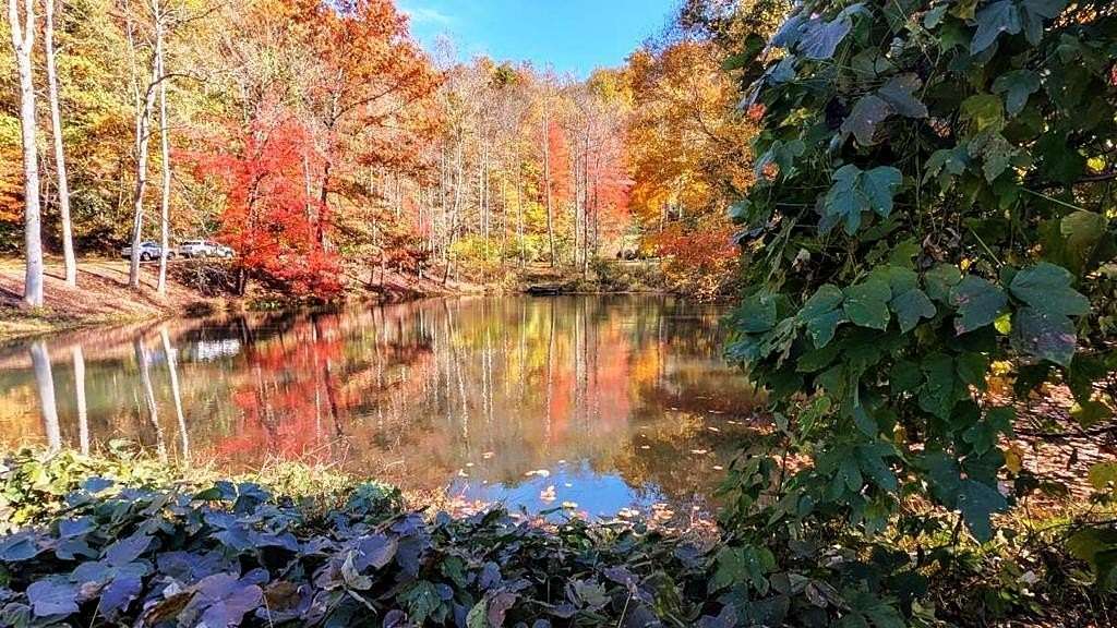 54.4 Acres of Mixed-Use Land for Sale in Sylva, North Carolina