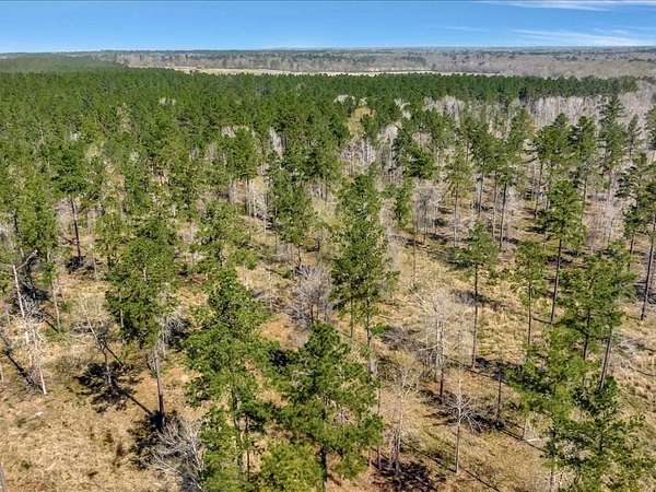 1.3 Acres of Residential Land for Sale in Lufkin, Texas