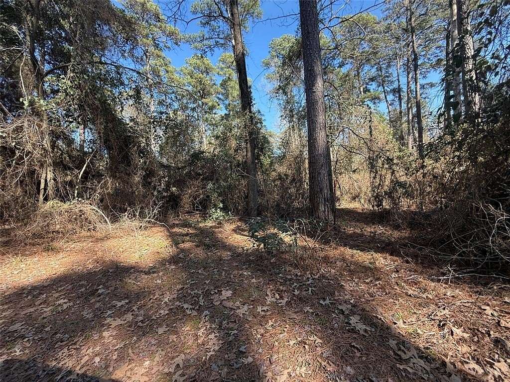 0.78 Acres of Residential Land for Sale in Winnsboro, Texas