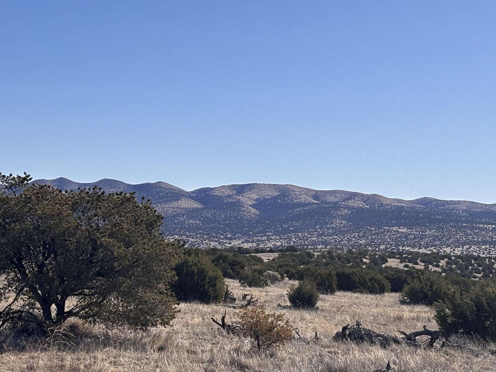 20.1 Acres of Recreational Land for Sale in Magdalena, New Mexico