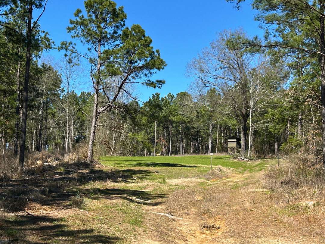 273 Acres of Recreational Land & Farm for Sale in Linden, Texas