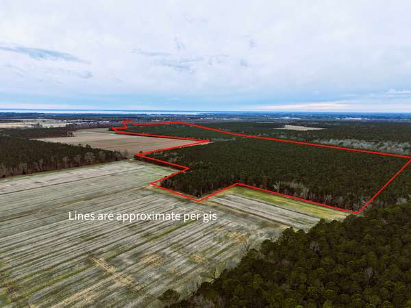 192 Acres of Recreational Land & Farm for Sale in Edenton, North Carolina